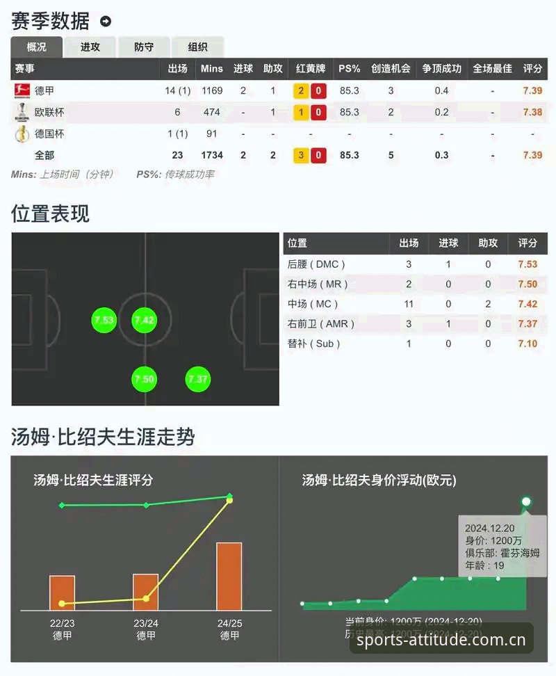 爱游戏体育官方中国官网 从“看比分”到“读数据”:爱游戏体育官方中国官网的深度使用指南